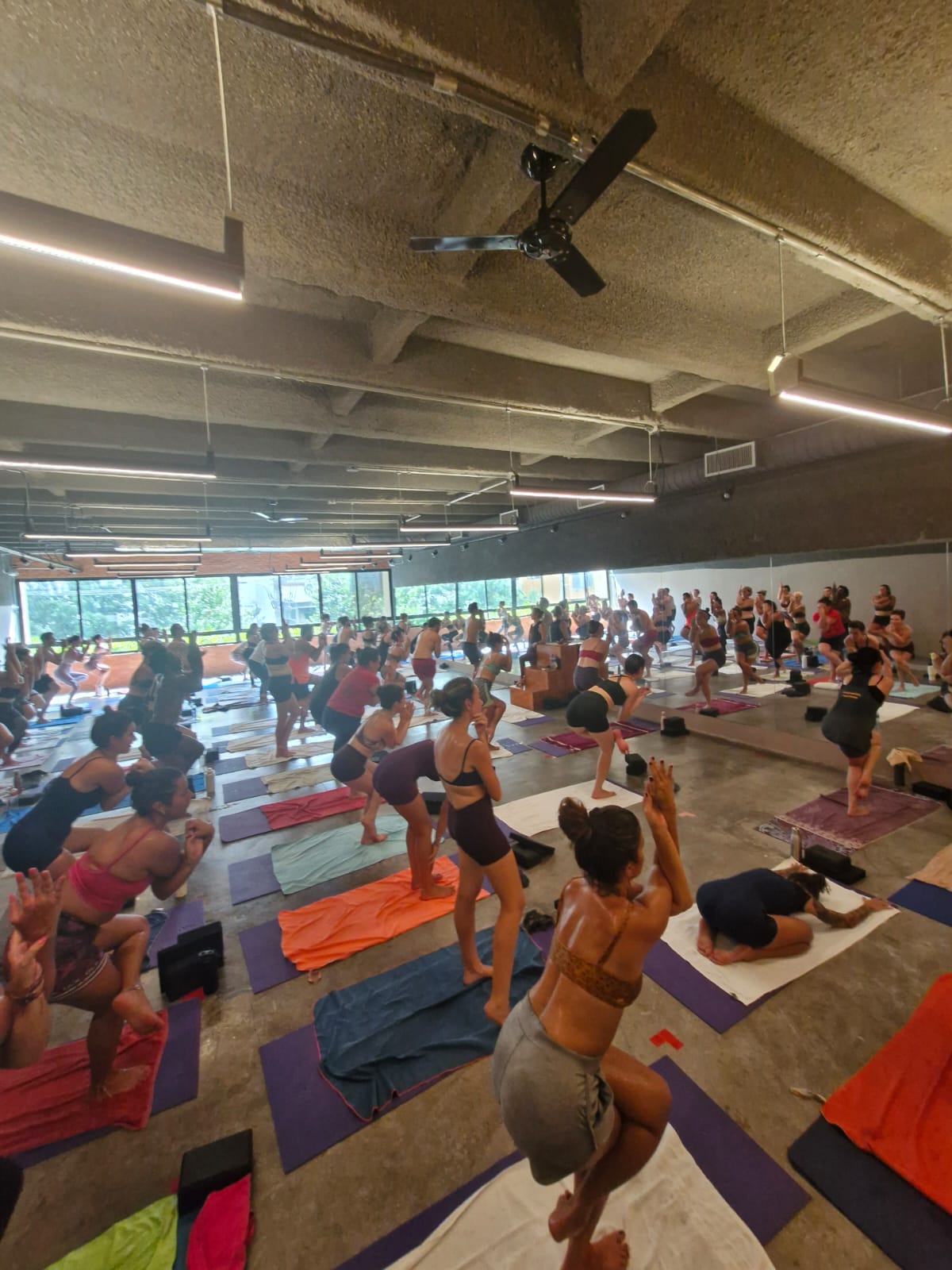 Plano Experimental 5 Aulas Paulista