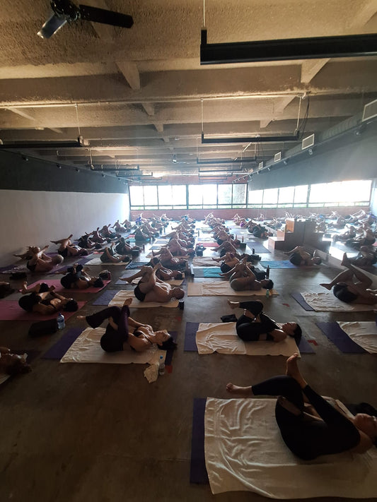 Plano Experimental Paulista